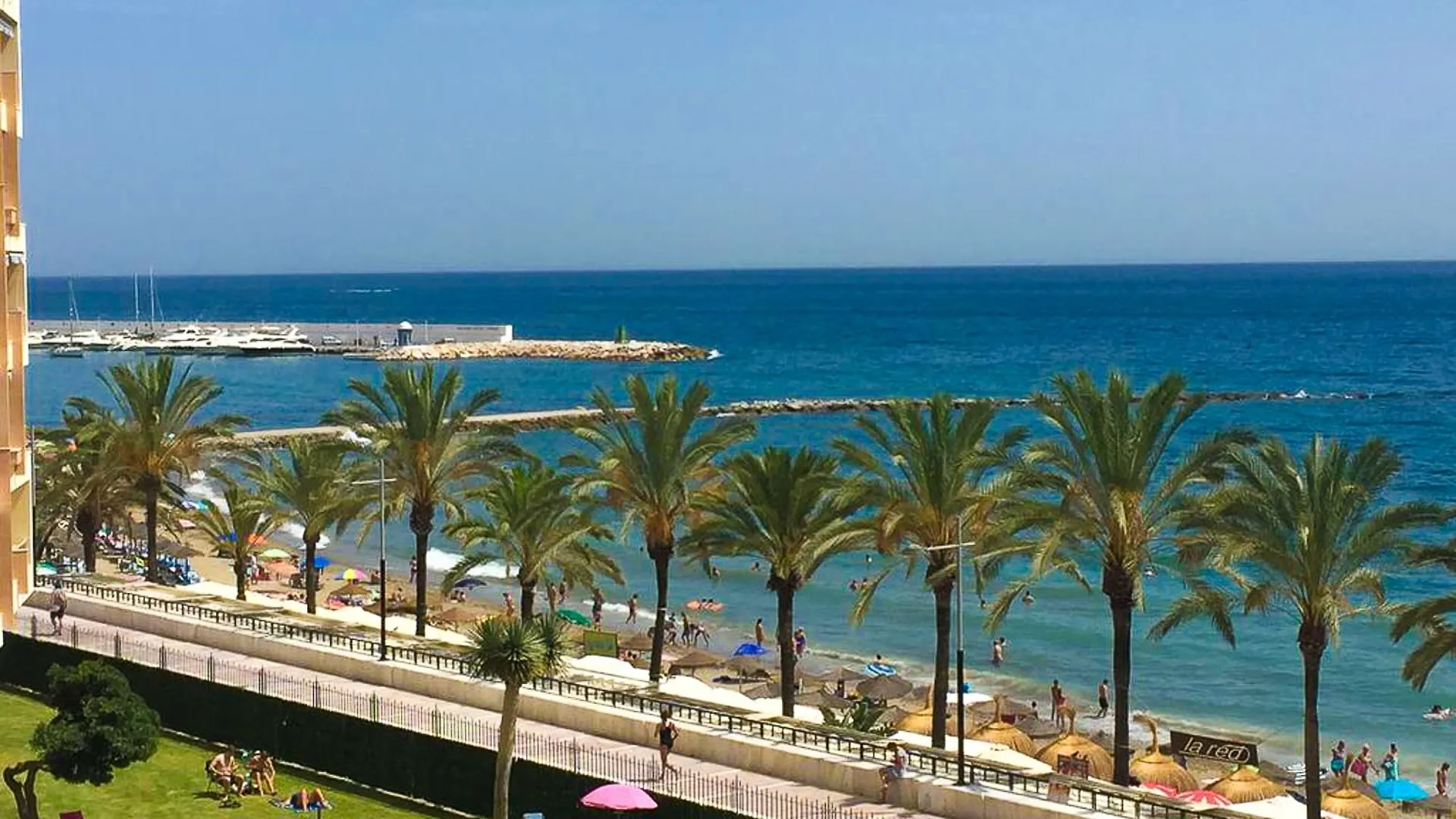Oleholidays Estudio Neptuno kontakter